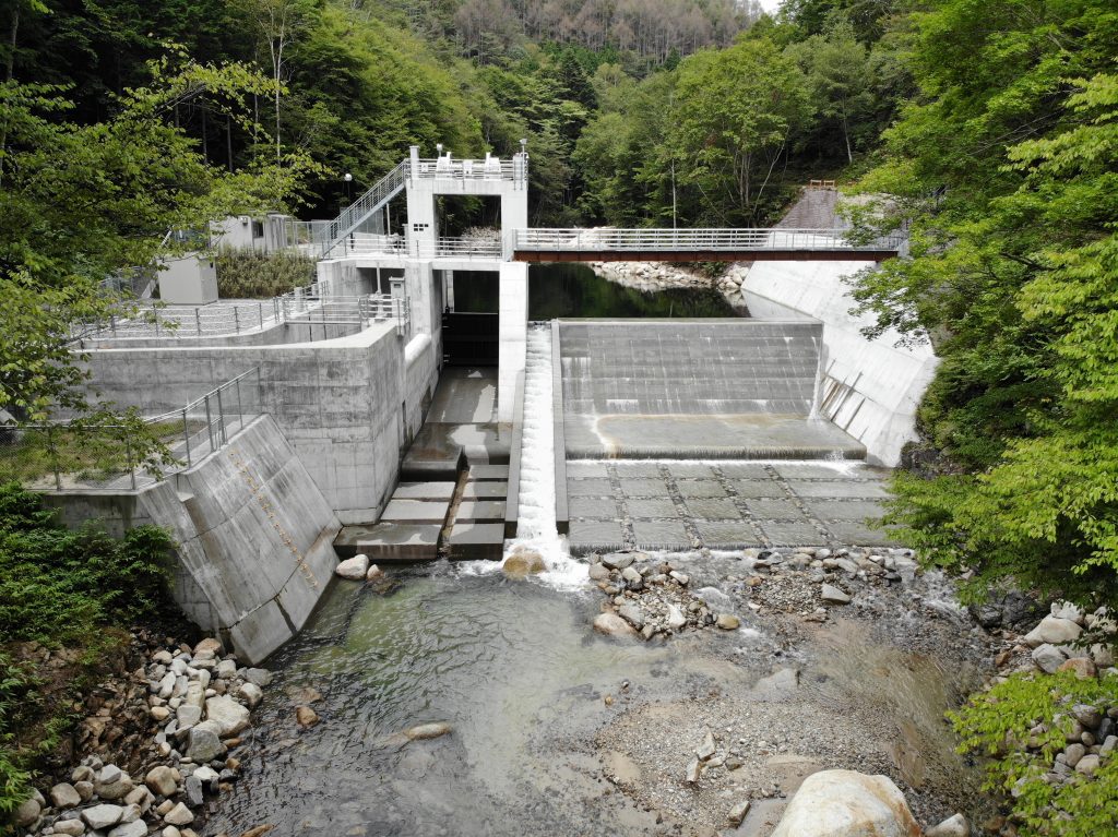大平黒川画像